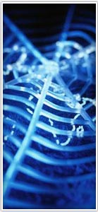 budowa sieci, linux, internet, administracja, hosting, domeny, bezpiecze�stwo, secure, networks, a-net, a net, anet, flash, bielsko �l�sk, ma�opolska, bielsko, czechowice, skocz�w, pszczyna, �ywiec, k�ty, o�wi�cim, szczyrk, brzeszcze, cieszyn, tychy, kozy